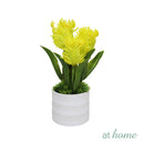 Halsey & Heath Decorative Artificial Plant — Deluxe Pieces