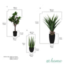 Chad Artificial Rubber Tree Potted Plant