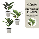 Cael Artificial Rubber Tree Plant — Essential