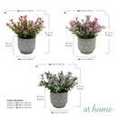 Harriet Artificial Plant