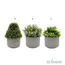 Hayes Decorative Artificial Potted Plant