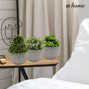 Hayes Decorative Artificial Potted Plant