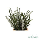 Ces Butterfly Bush Artificial Potted Plant