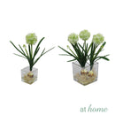 Hera Onion Flower Artificial Decorative Plant
