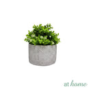 Hayes Decorative Artificial Potted Plant