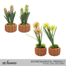 Haven and Harlow Decorative Plant