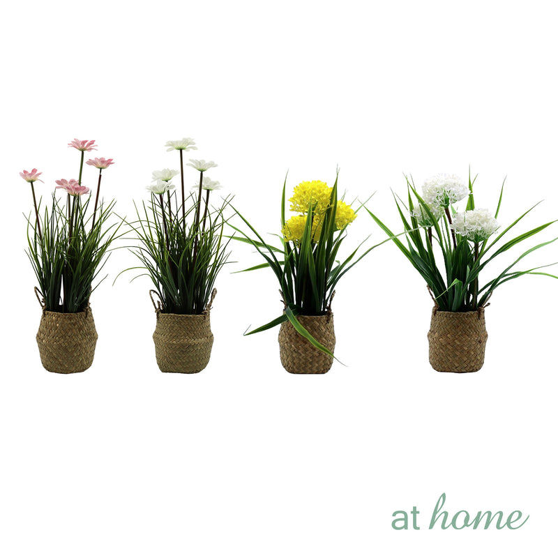 Xylona Cupid's Dart and Xaviell Dandelion Artificial Decorative Plant