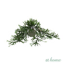 AT HOME Decorative 1pc Artificial plant potted Hilaria/Hasna, home shelf hanging strip bonsai cabinet pendant wall