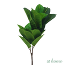 Chad or Cordelia Artificial Rubber Tree Potted Plant