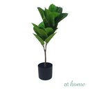 Chad or Cordelia Artificial Rubber Tree Potted Plant