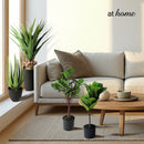 Chad or Cordelia Artificial Rubber Tree Potted Plant