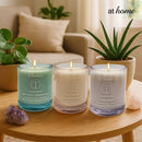 Wisp Fluid Mind Scented Jar Candle 240g Soy Blended Wax 40H Aroma Home Fragrance — Essential