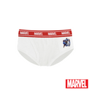 Avengers 3 Pack Bikini Briefs