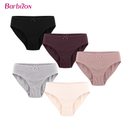 Barbizon 5-in-1 Cotton Bikini Panty
