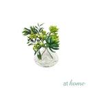 Hillary Orchids & Hanley Succulent Decorative Plant with Glass Vase Centerpiece Display