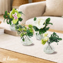 Hillary Orchids & Hanley Succulent Decorative Plant with Glass Vase Centerpiece Display