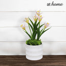Harry & Hassan Decorative Flower Plant — Deluxe Pieces