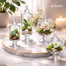 Tabitha & Taloose Apothecary Jar Clear Glass Multipurpose Storage — Essential
