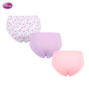Princess 3-Pack Bikini Panty