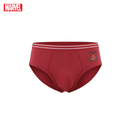 Spider-Man 3-Pack Bikini Briefs