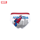 Spider-Man 3-Pack Bikini Briefs