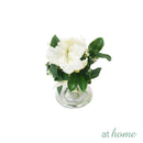 Hillary Orchids & Hanley Succulent Decorative Plant with Glass Vase Centerpiece Display