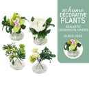 Hillary Orchids & Hanley Succulent Decorative Plant with Glass Vase Centerpiece Display
