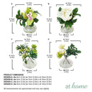 Hillary Orchids & Hanley Succulent Decorative Plant with Glass Vase Centerpiece Display