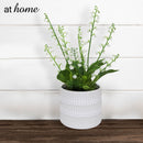 Harry & Hassan Decorative Flower Plant — Deluxe Pieces