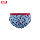Spider-Man 3-Pack Bikini Briefs