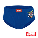 Avengers 3 Pack Bikini Briefs