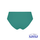 Skyward Vue 3-in-1 Pack Bikini Panty