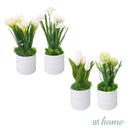 Hayley & Huxly Artificial Plant Potted with Ceramic Vase Decorative Display