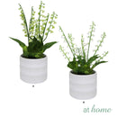 Harry & Hassan Decorative Flower Plant — Deluxe Pieces