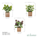 Cas Butterfly Bush Artificial Potted Plant