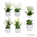 Harry & Hassan Decorative Flower Plant — Deluxe Pieces