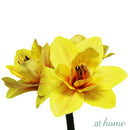 Charice Artificial Potted Plant