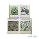 Van Gogh & Valeria Wall Frame