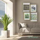 Van Gogh & Valeria Wall Frame