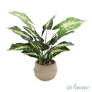 Hachi Artificial Potted Plant