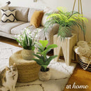 Hana Artificial Potted Plant
