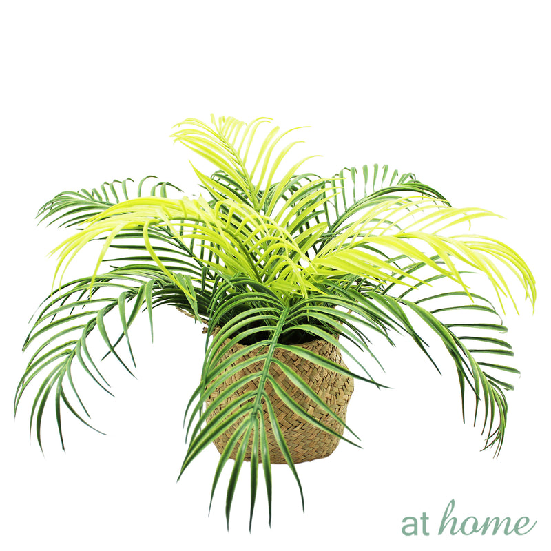 Hana Artificial Potted Plant