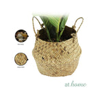 Hana Artificial Potted Plant