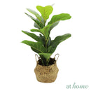 Hana Artificial Potted Plant