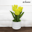 Halsey/Hassan/Heath Decorative Plant