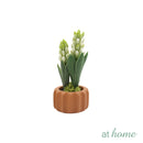 Haven and Harlow Decorative Plant