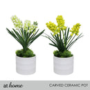 Halsey/Hassan/Heath Decorative Plant