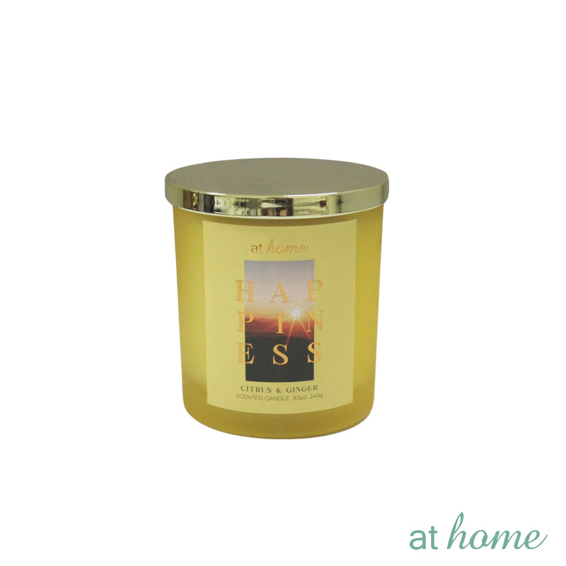 260g Scented Wanderlust Jar Candle