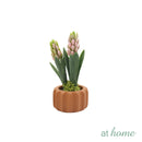 Haven and Harlow Decorative Plant