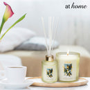 Wanderlust Reed Diffuser - 100ml